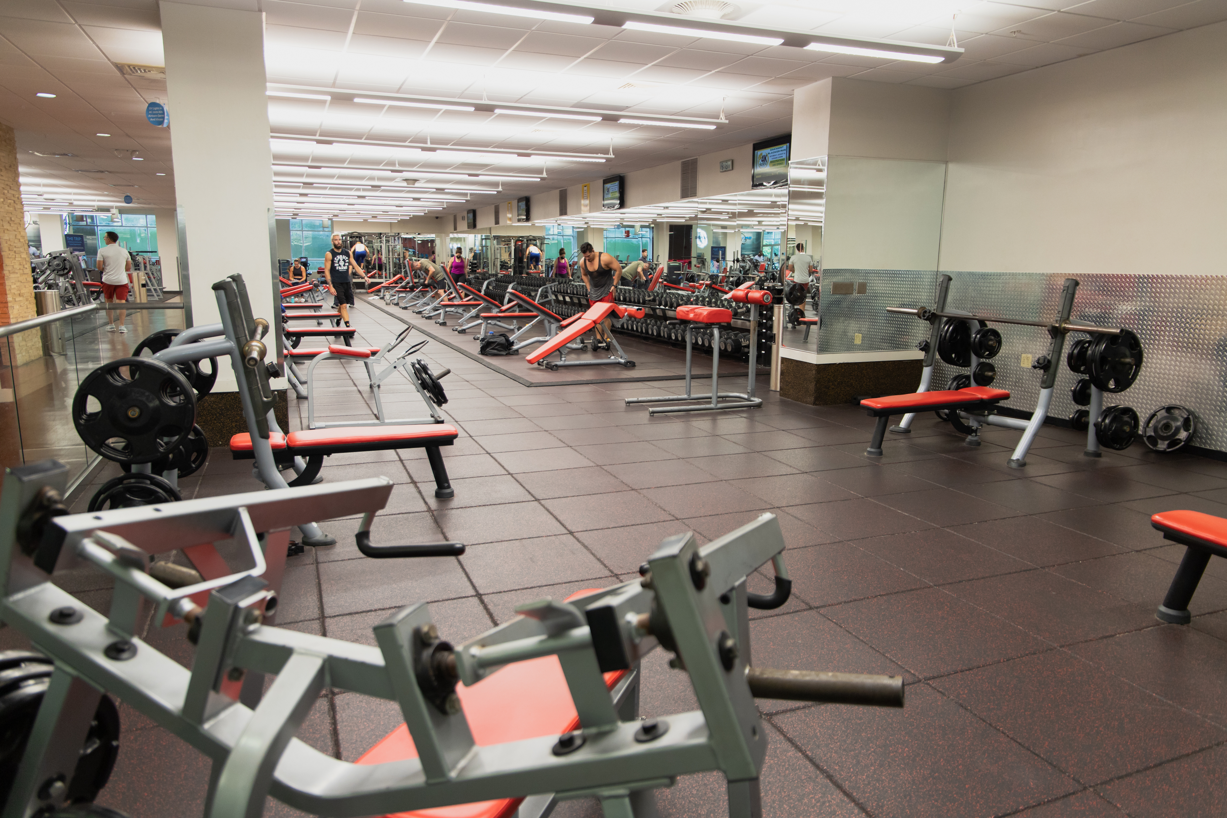 free weight studio at gainesville health & fitness
